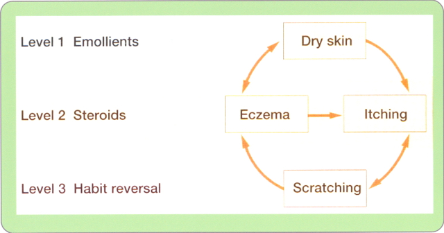 Twitter-with-The-Eczema-Solution-2